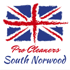 Pro Cleaners South Norwood