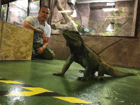 Opening after covid Harold 450x338 1